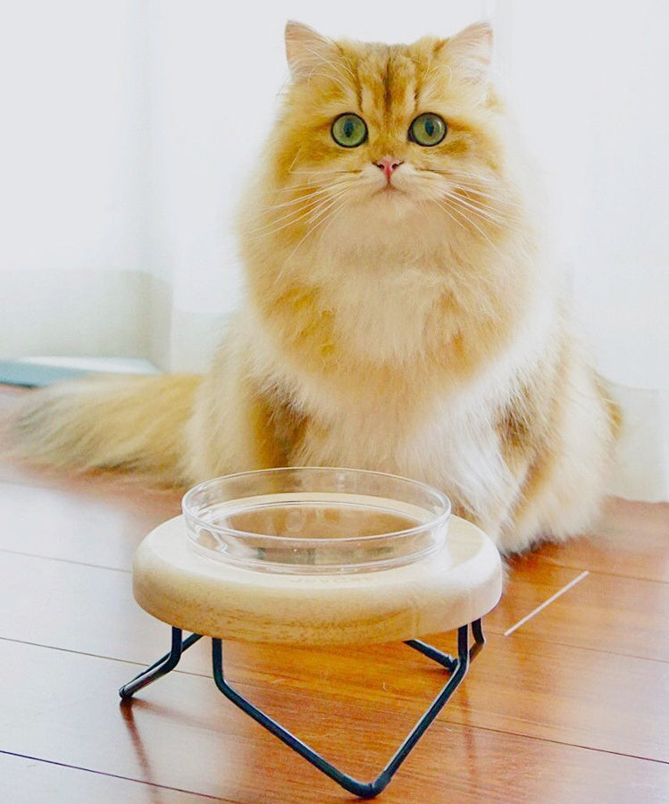 Solid Wood Cat Bowl Rack