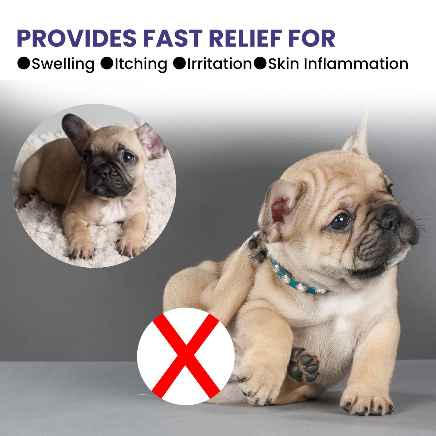 Pet Anti-itching Spray Cleansing And Soothing Skin