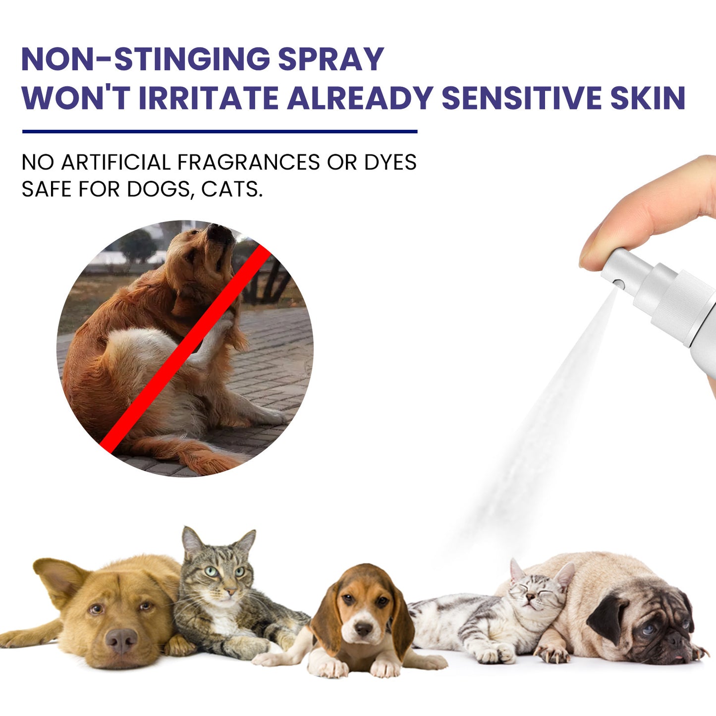 Pet Anti-itching Spray Cleansing And Soothing Skin